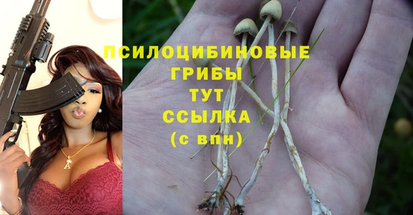 ПСИЛОЦИБИНОВЫЕ ГРИБЫ Зеленокумск