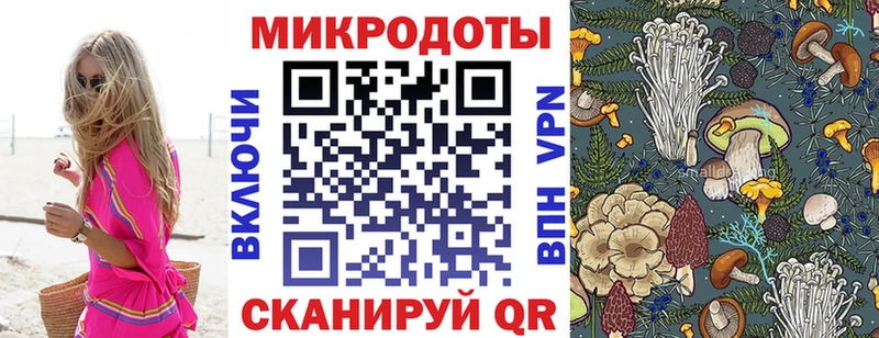 Псилоцибиновые грибы прущие грибы  Купить  Кораблино 